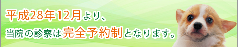 かまやち動物病院の診察は完全予約制