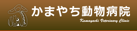 かまやち動物病院