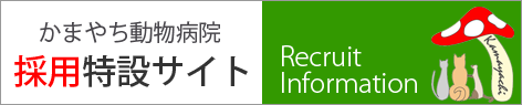 かまやち動物病院の求人特設サイト